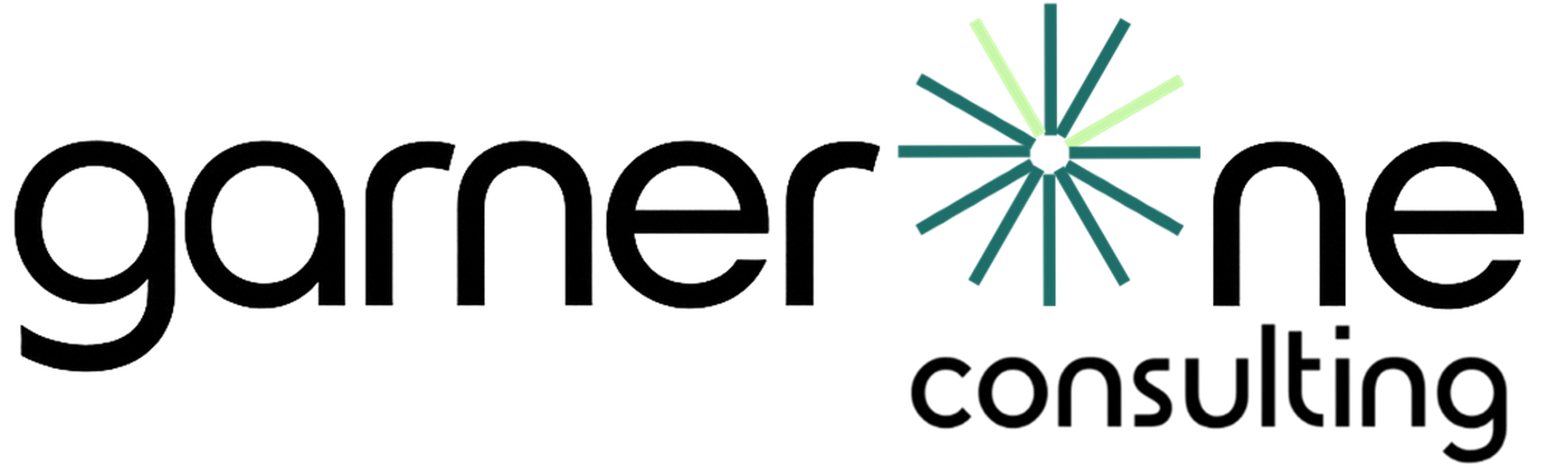 garnerOne Logo, b2b marketing, b2b content marketing,
